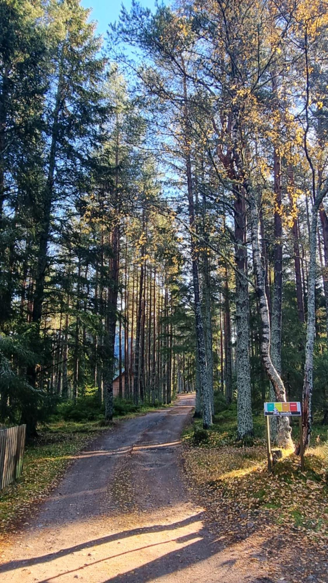 Cairngorm Lodges Aboyne Dış mekan fotoğraf